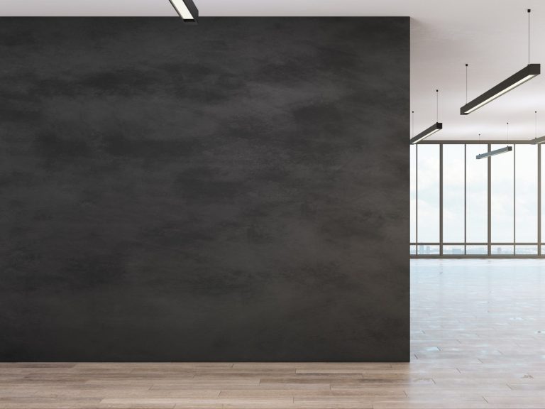 moderne schwarze Wand Moderne Innenansicht mit schwarzer Wand und großen Fenstern, helles Holzfußboden.